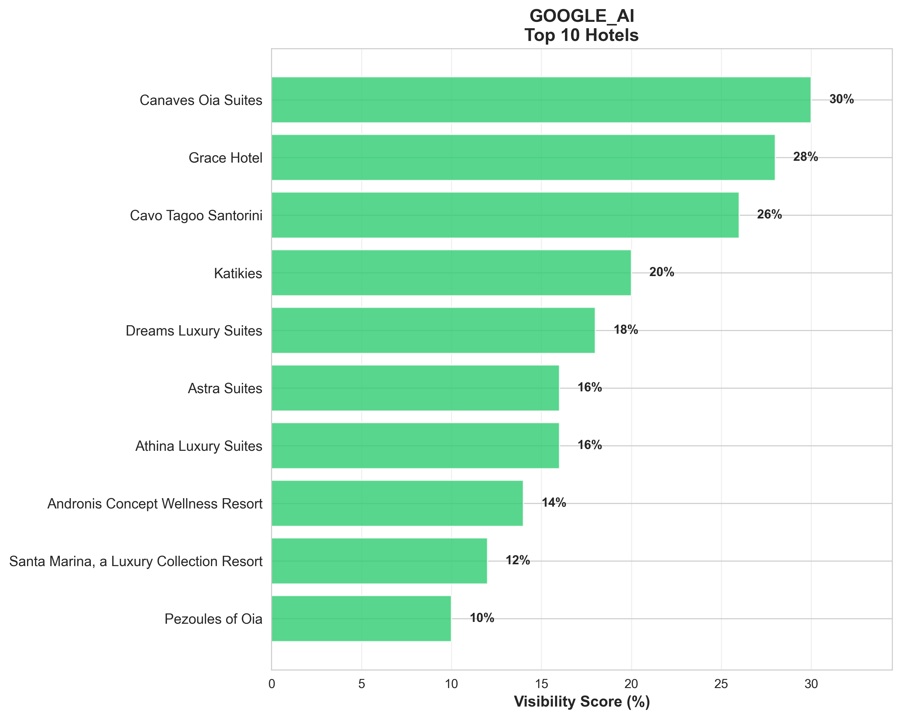 Google AI Top 10 Hotels